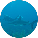 Peninsula Web Solutions 26 Emma Burns profile picture